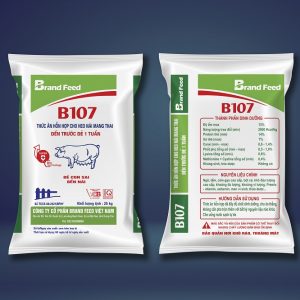 Thức ăn hỗn hợp cho heo nái mang thai đến trước đẻ 1 tuần