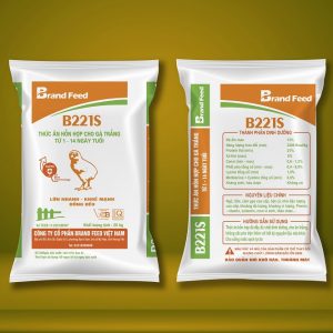 Thức ăn hỗn hợp cho gà trắng từ 1-14 ngày tuổi